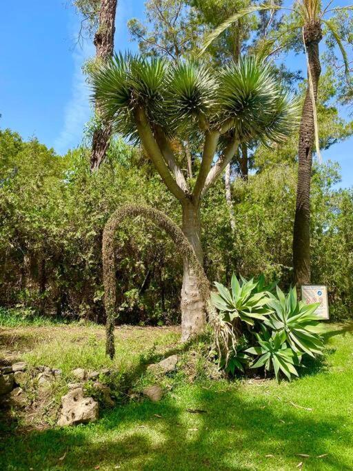 Klimatyczny Loft I Egzotyczny Basen Apartment Benalmadena Ngoại thất bức ảnh
