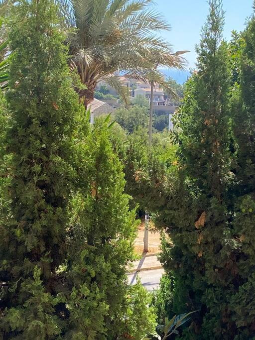 Klimatyczny Loft I Egzotyczny Basen Apartment Benalmadena Ngoại thất bức ảnh
