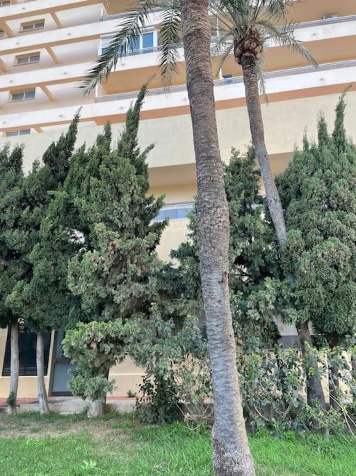 Klimatyczny Loft I Egzotyczny Basen Apartment Benalmadena Ngoại thất bức ảnh