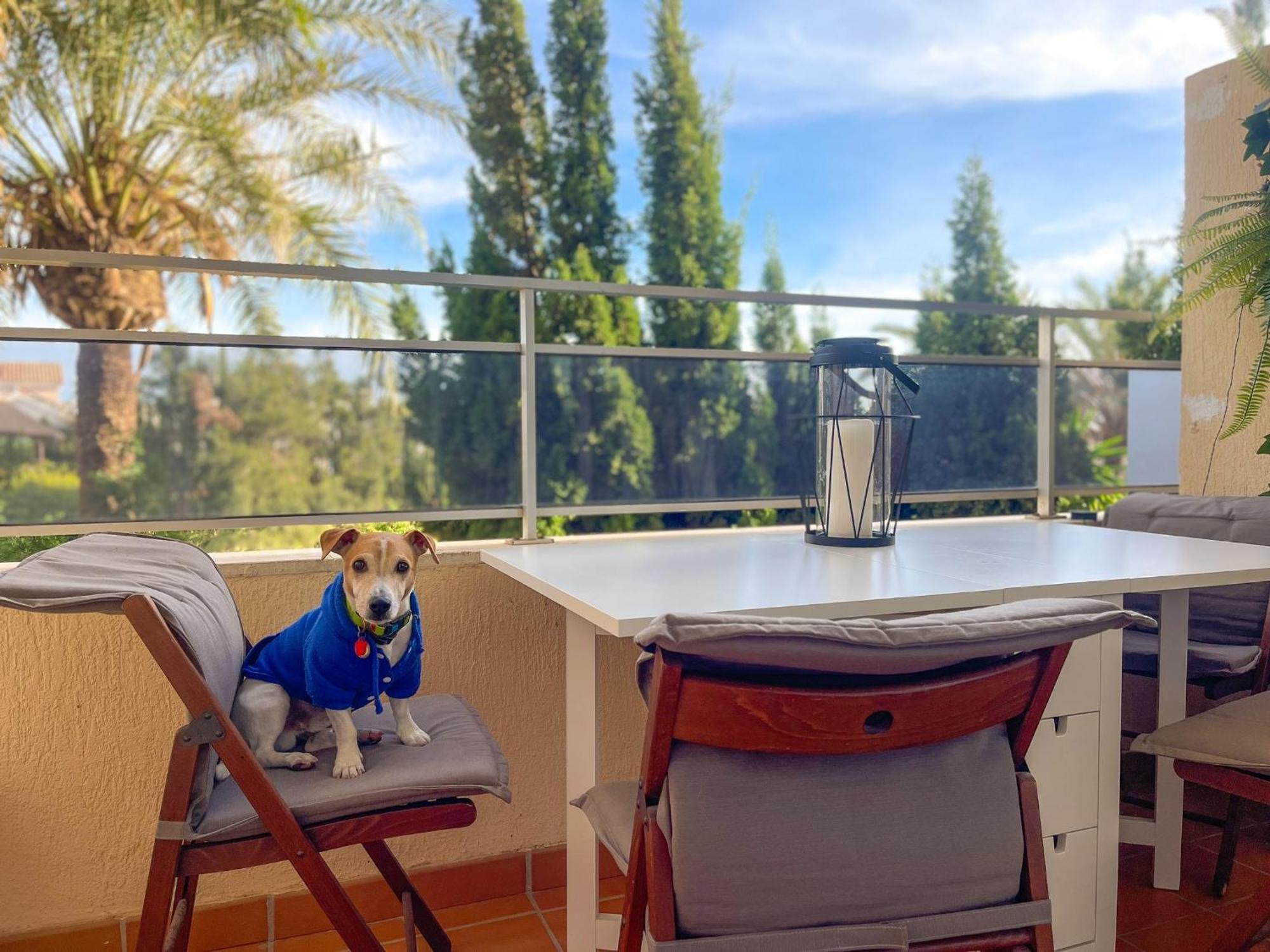 Klimatyczny Loft I Egzotyczny Basen Apartment Benalmadena Ngoại thất bức ảnh