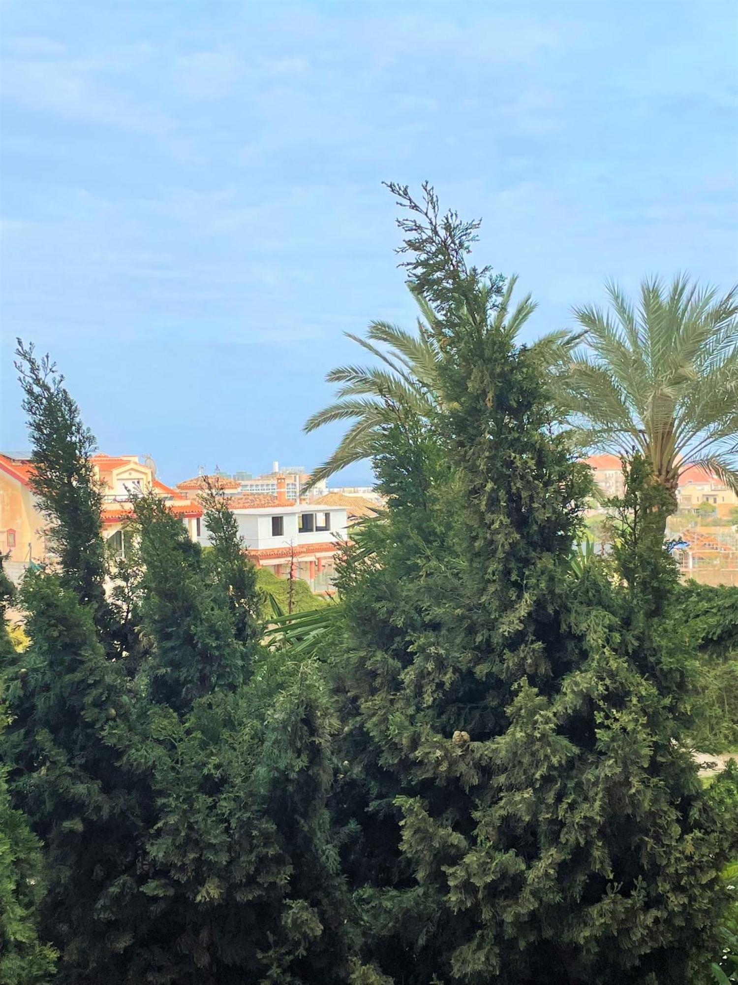 Klimatyczny Loft I Egzotyczny Basen Apartment Benalmadena Ngoại thất bức ảnh